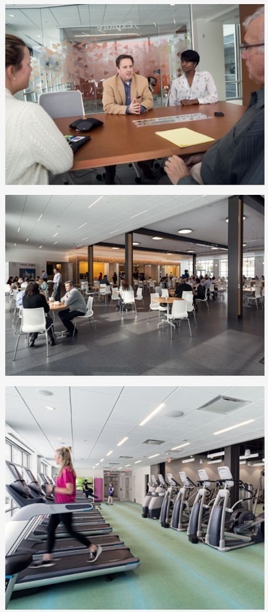 Saint-Gobain’s new headquarters is a lesson in employee comfort and productivity.